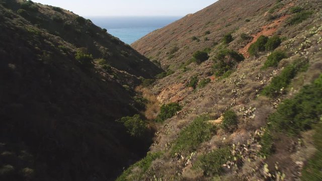 Following an arid canyon on Santa Catalina that opens onto Pacific surf. Shot in 2010.