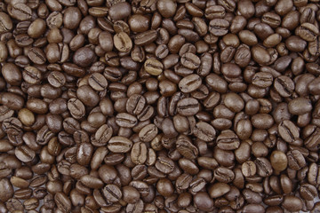Roasted coffee beans