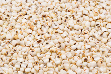 millet grains background