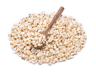 millet grains on white background