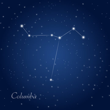 Columba, dove constellation at starry night sky
