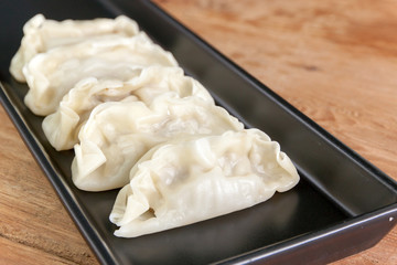 dumpling wonton japanese