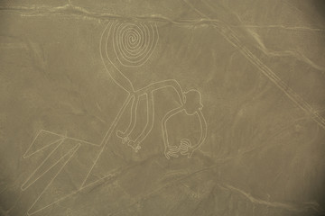 Nazca Lines,  The Monkey