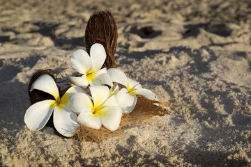 Flower decoration for wedding at the beach, Seychelles