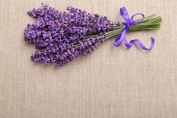 Lavender.