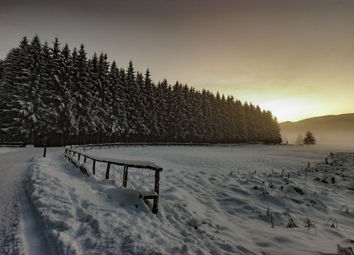 La Prima Neve