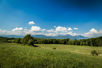 Fields of Italy in a spring day