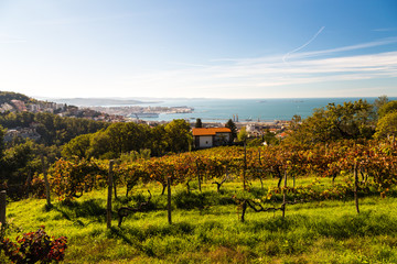 Fototapeta premium The gulf of trieste in a sunny day