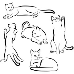 Vector cats silhouettes collection isolated on white background. Black contours of animals. Cat drawn in different poses: playing, sitting, lying. Sweet home pet. Graphic clip art illustration design