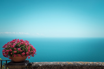Pink flowers and bird-eye view at sea