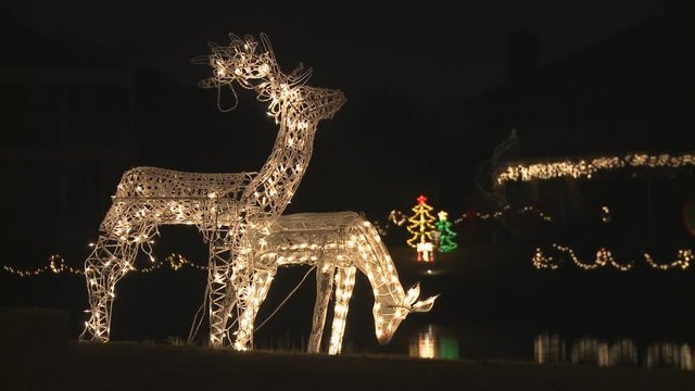 Close-up animated and illuminated reindeer lawn ornaments