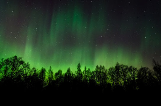 Beautiful photo of Northern Lights in Estonia sky
