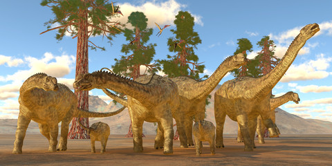 Uberabatitan Dinosaurs - Zhejiangopterus reptile birds fly over a herd of Uberabatitan dinosaurs during the Cretaceous Period. © Catmando
