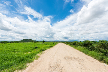 green field and blue sky