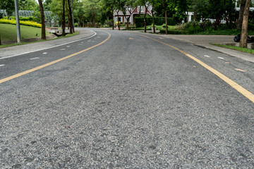 Road in the park