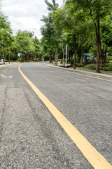 Road in the park