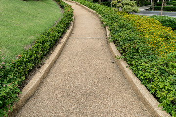 Fototapeta na wymiar Concrete Pathway in garden