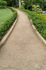 Concrete Pathway in garden