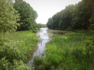 пруд © soniaforyou