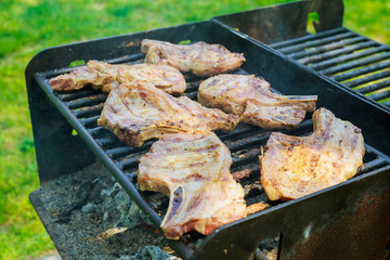 pork steak on an open fire