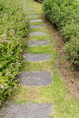 Naklejka premium Stone Pathway in garden