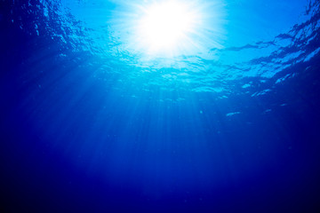 sunlights of underwater © divedog