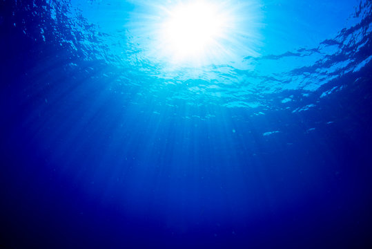 sunlights of underwater