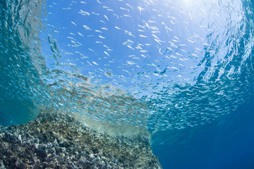 Cave diving in sunny day