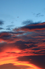 Sunset sky with tree in front background in Thailand