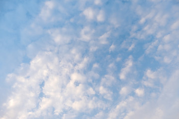 Looking up at Nice Light sky with cloud ,blue sky