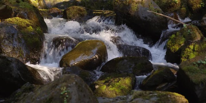Close view of forest stream cascading among small boulders