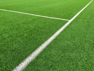 Obraz premium White line on grass green background