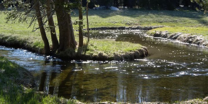 Forest stream flowing around a grassy horseshoe bend