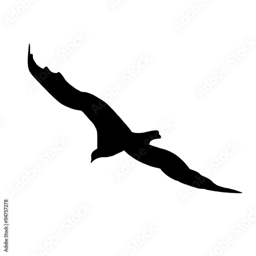 "Turkey Buzzard Silhouette " Stock photo and royaltyfree images on