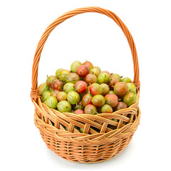berry of gooseberry in a basket