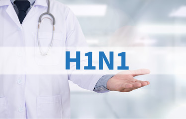  H1N1