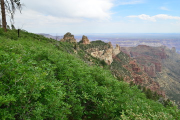 Fototapeta na wymiar The North Rim of the Grand Canyon in June.