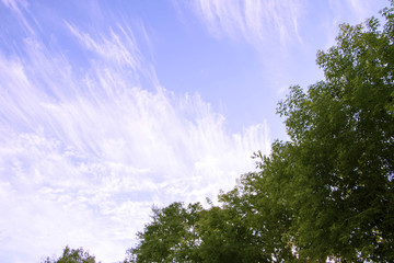 Obraz premium The sky and clouds on the sky