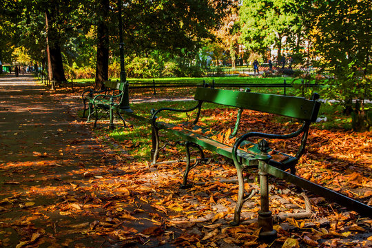 Bench in green park with path way