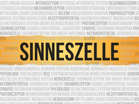 Sinneszelle