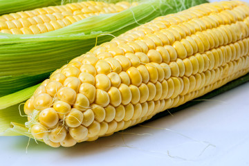 of the corn close up