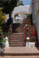 staircase decorated with flowers in southern town
