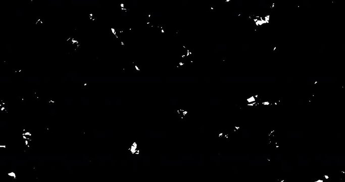 Plant growth to black / 3D animation of white screen filling with black from growing tangled vines, can be used for cuts and transitions