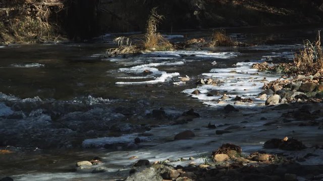 Rapids at the edge of frozen shallows in a forest stream