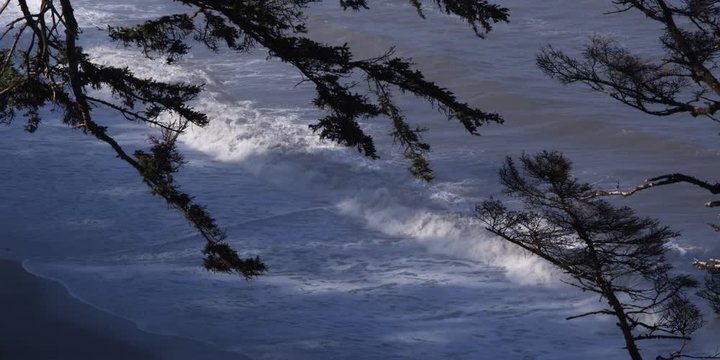 Looking down past tree branches to incoming waves on sandy beach