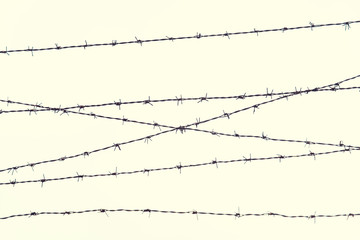 barb wire fence over gray sky