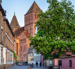 Fototapeta na wymiar Strasbourg Saint Thomas church in spring