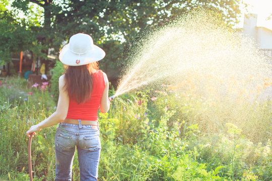 Watering  with a hose,  gardening concept