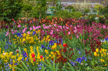 Springtime garden in Giverny France has an abundance of beautiful flowers