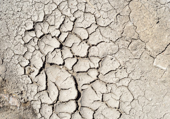 Dry Mud Cracked Riverbed